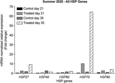 Chronic heat stress induces the expression of HSP genes in the retina of chickens (Gallus gallus)